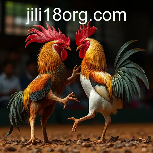 The Rise of Online Sabong and the Emergence of JiLi18